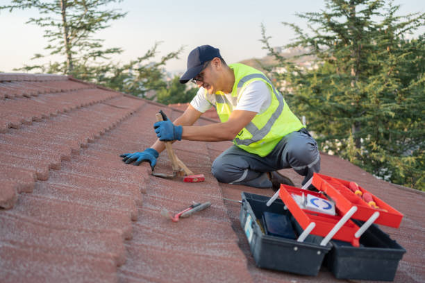 Roof Gutter Cleaning in Highgrove, CA